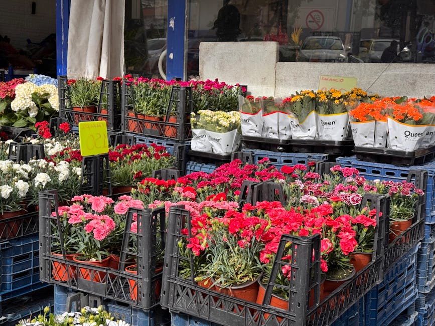 An outdoor display of flower pots arranged in black plastic crates, featuring vibrant pink, red, white, yellow, and orange blooms, including carnations and marigolds, with some wrapped in white paper 
